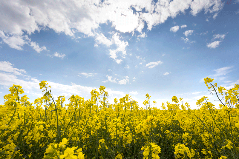 Evaluation of this year’s harvest in our cooperatives.